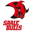 Saale Bulls Halle